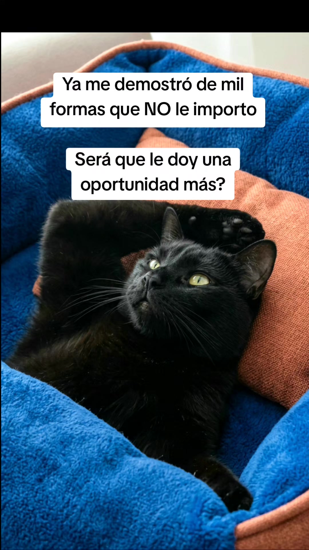 @🛡️𝙇𝙪𝙞𝙨-𝙍𝙞𝙘𝙤🛡️