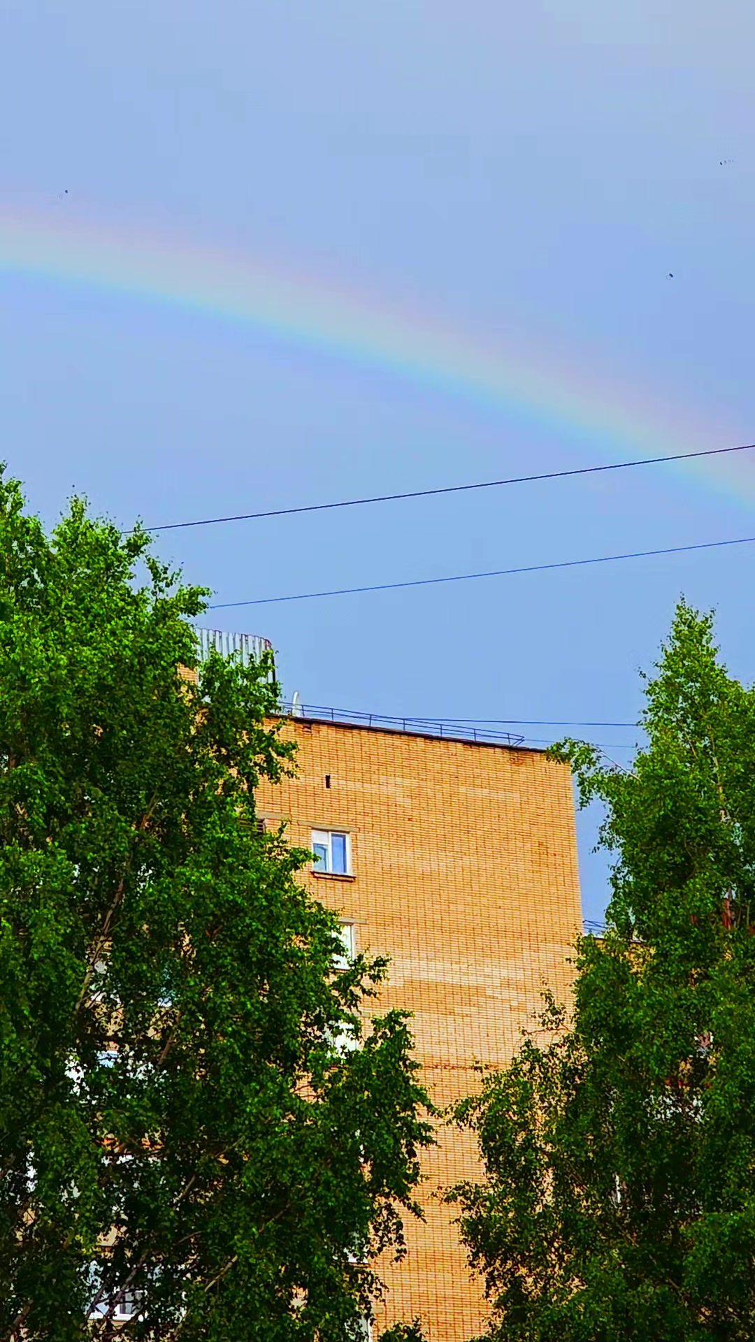 @Кудрявая