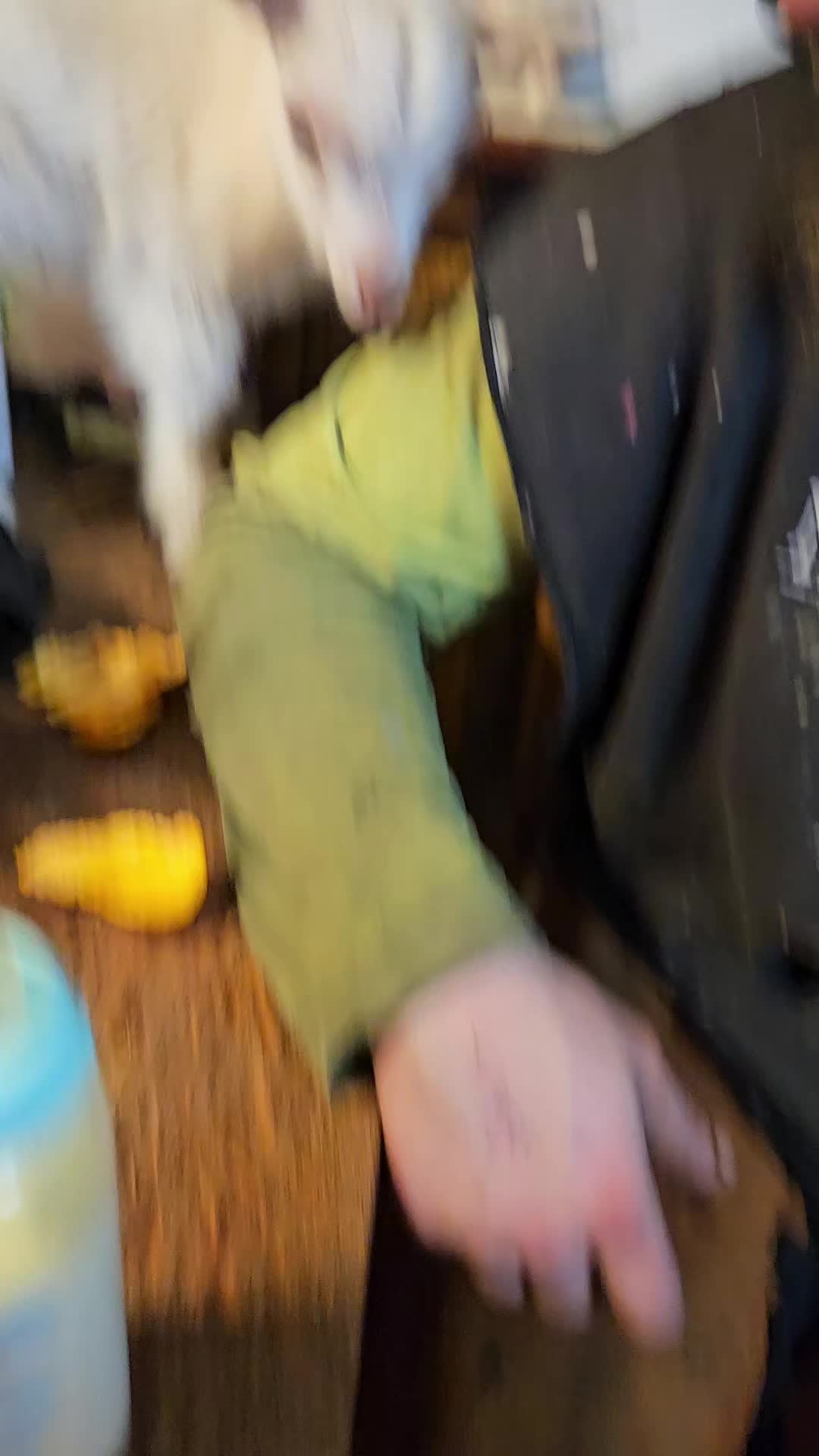 @Maya