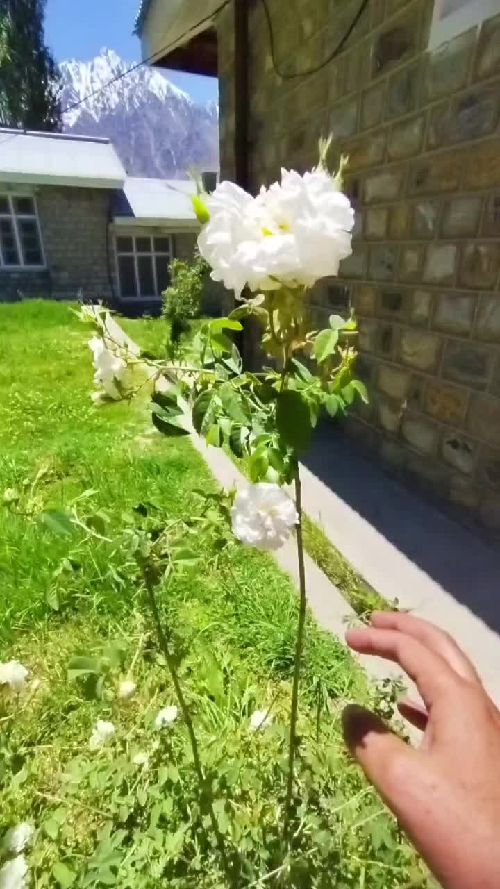 @Amjuukhan😎❤️
