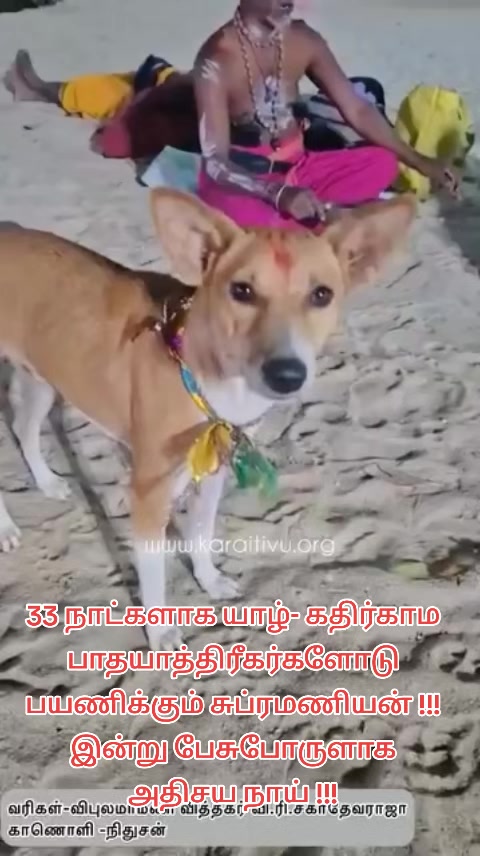 @கார்த்திகை பூக்கள்🇦🇪🇦🇪