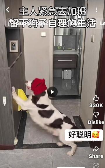 @Jillene 吉琳🌷🌷🌷