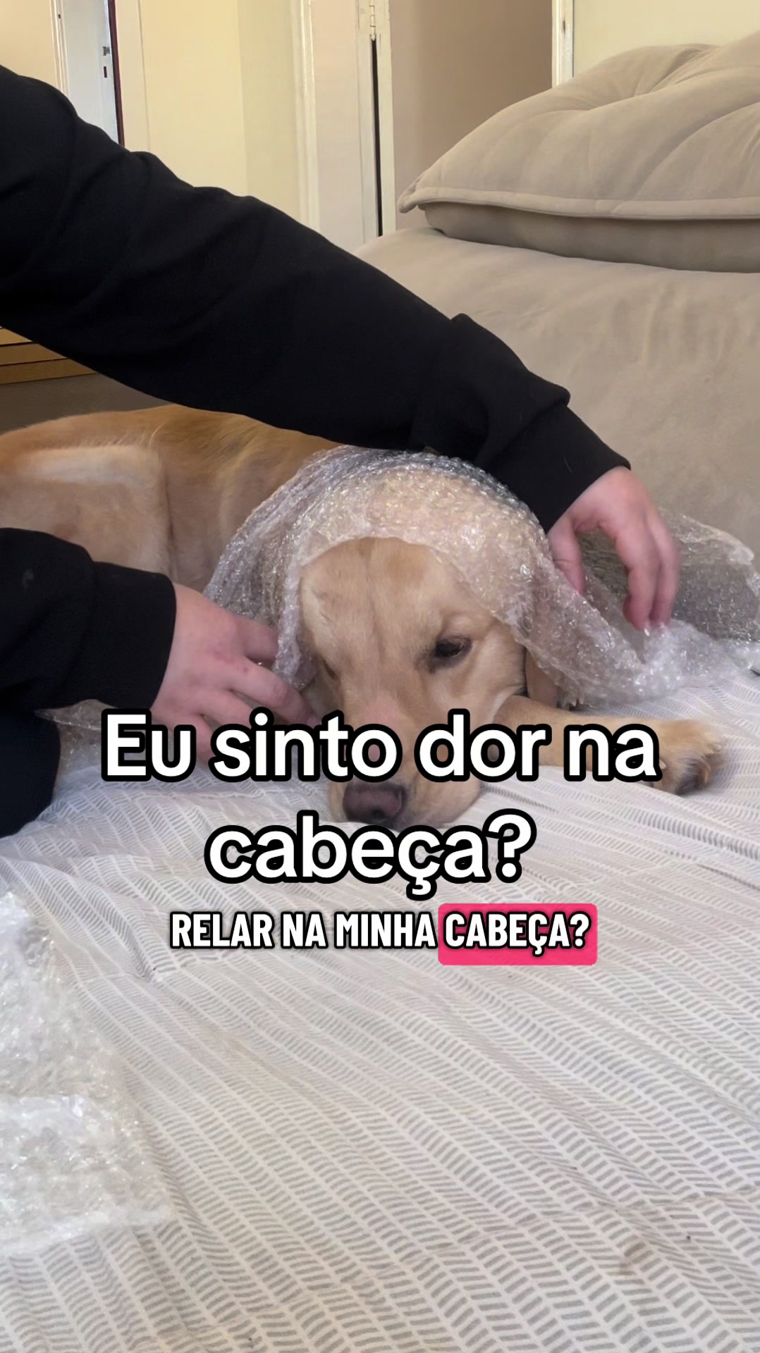 @Docinho, a golden especial.