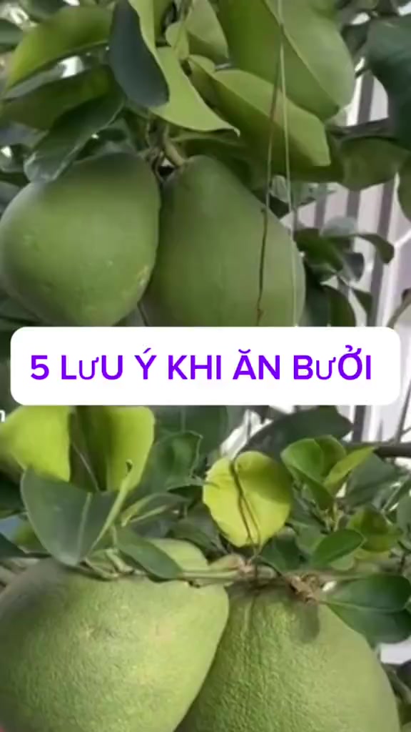 @Kim D&acirc;n- HLV Sức khoẻ