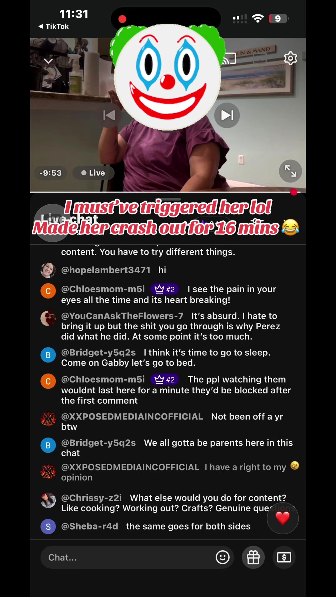 @MINI VILLI