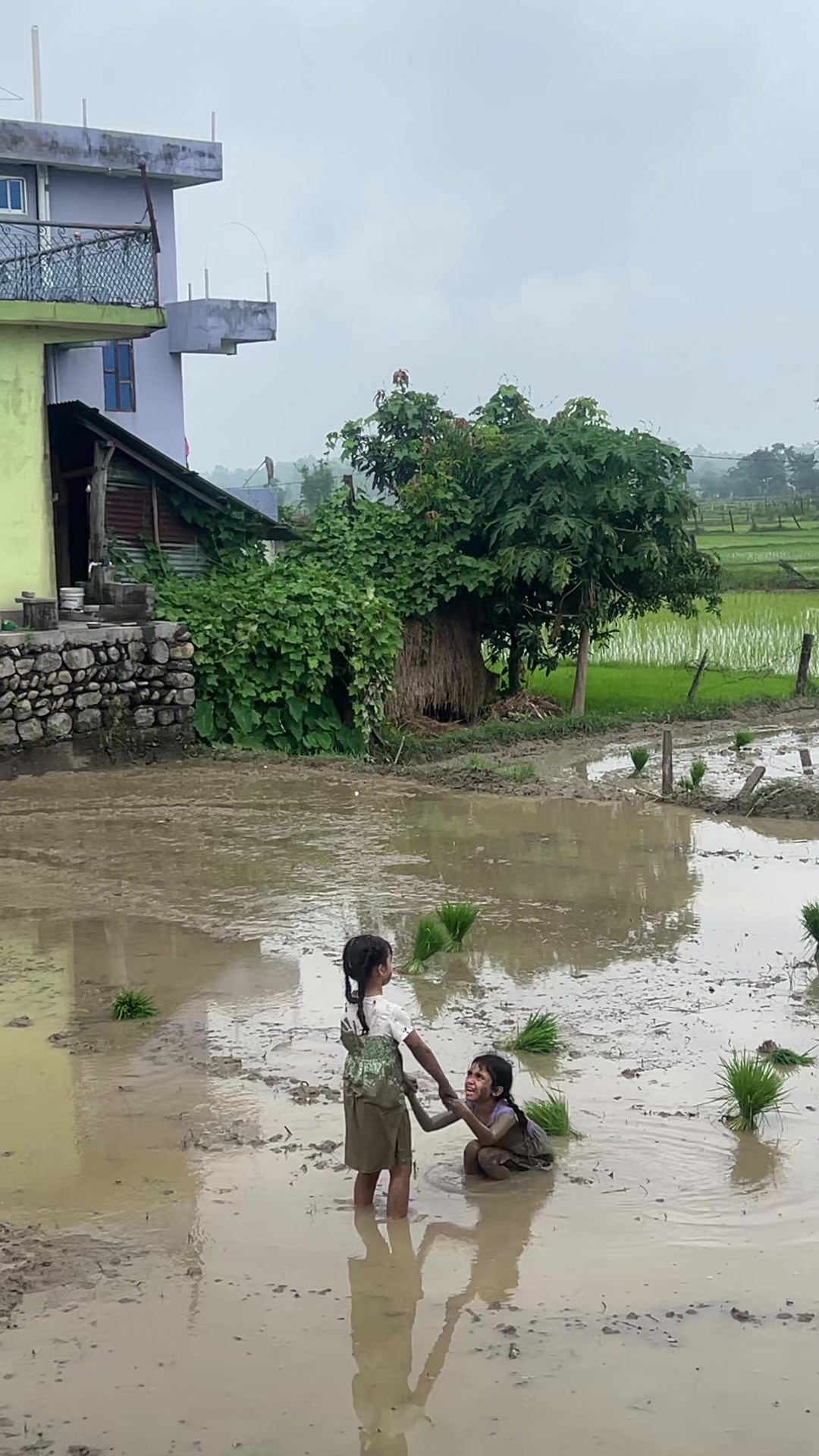 @पबित्रा सापकोटा