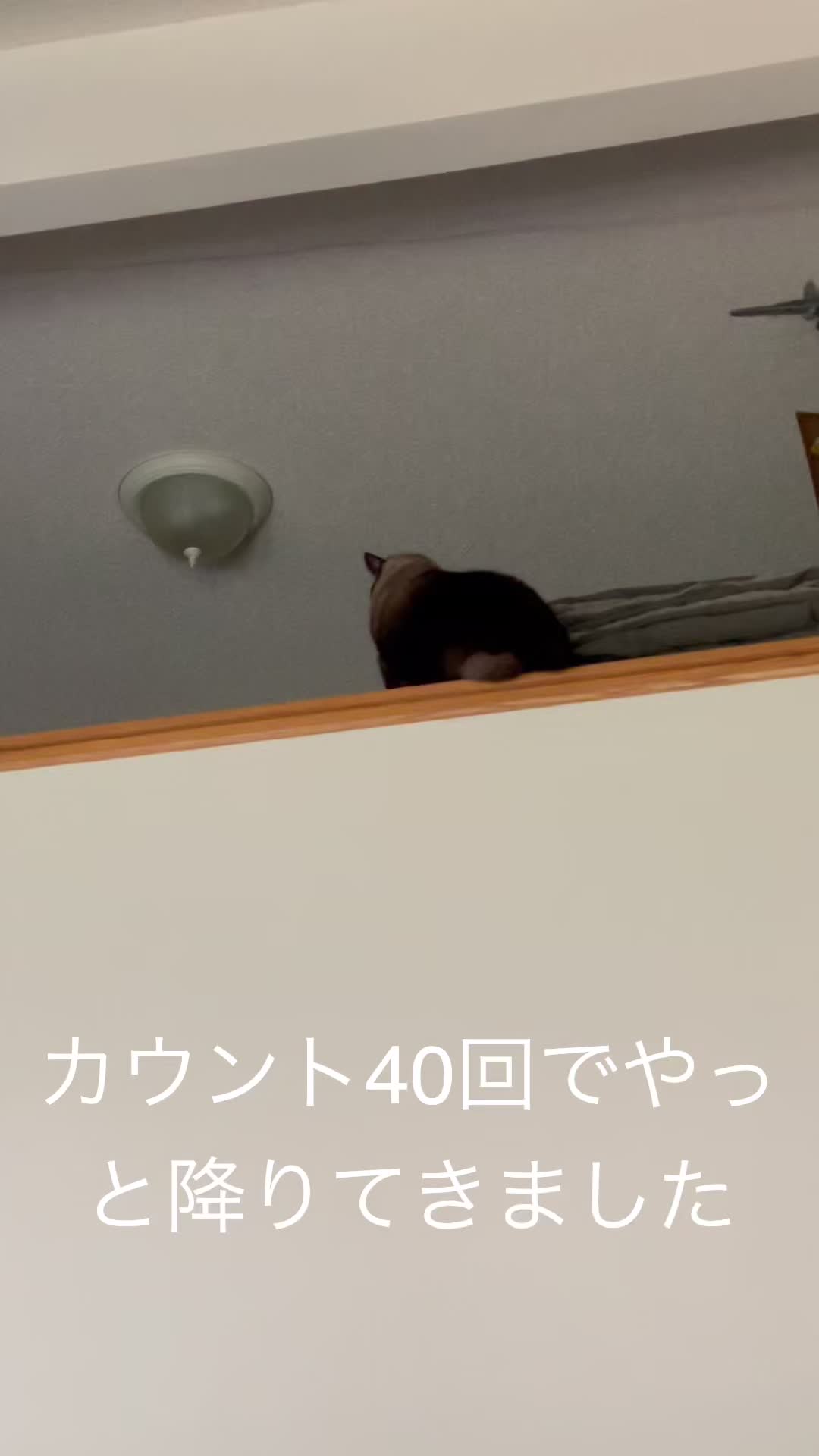 @sakurahana016