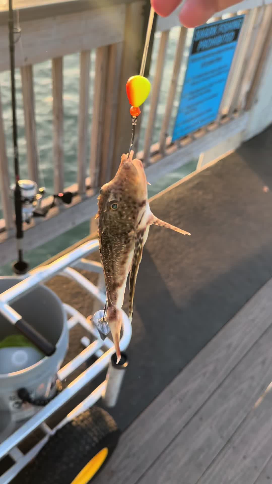 @East-Coast-Fishing