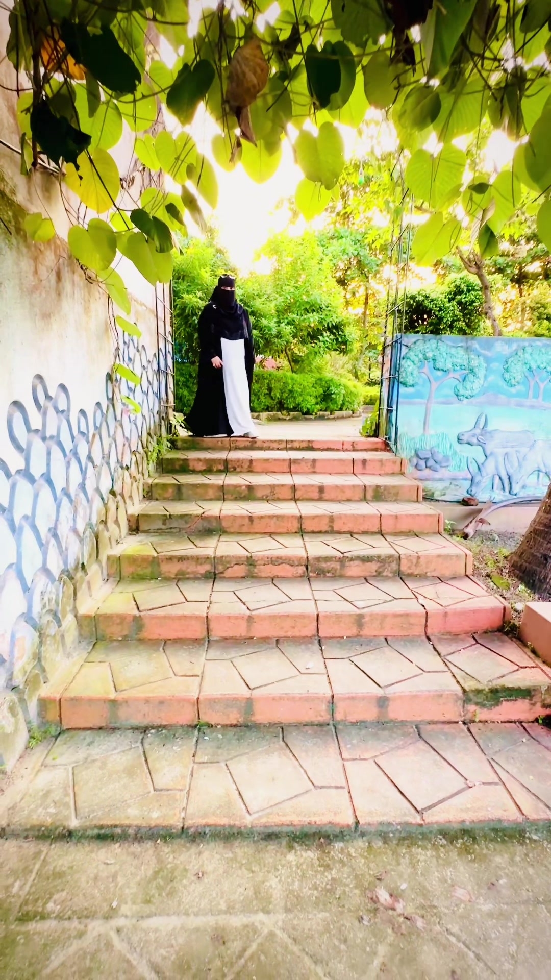 @জোসনা রাতের জোনাকী