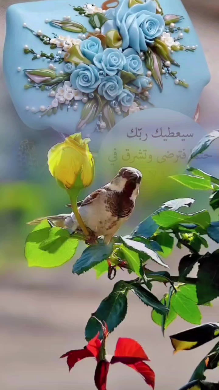 @الله أكبر🤍🤲