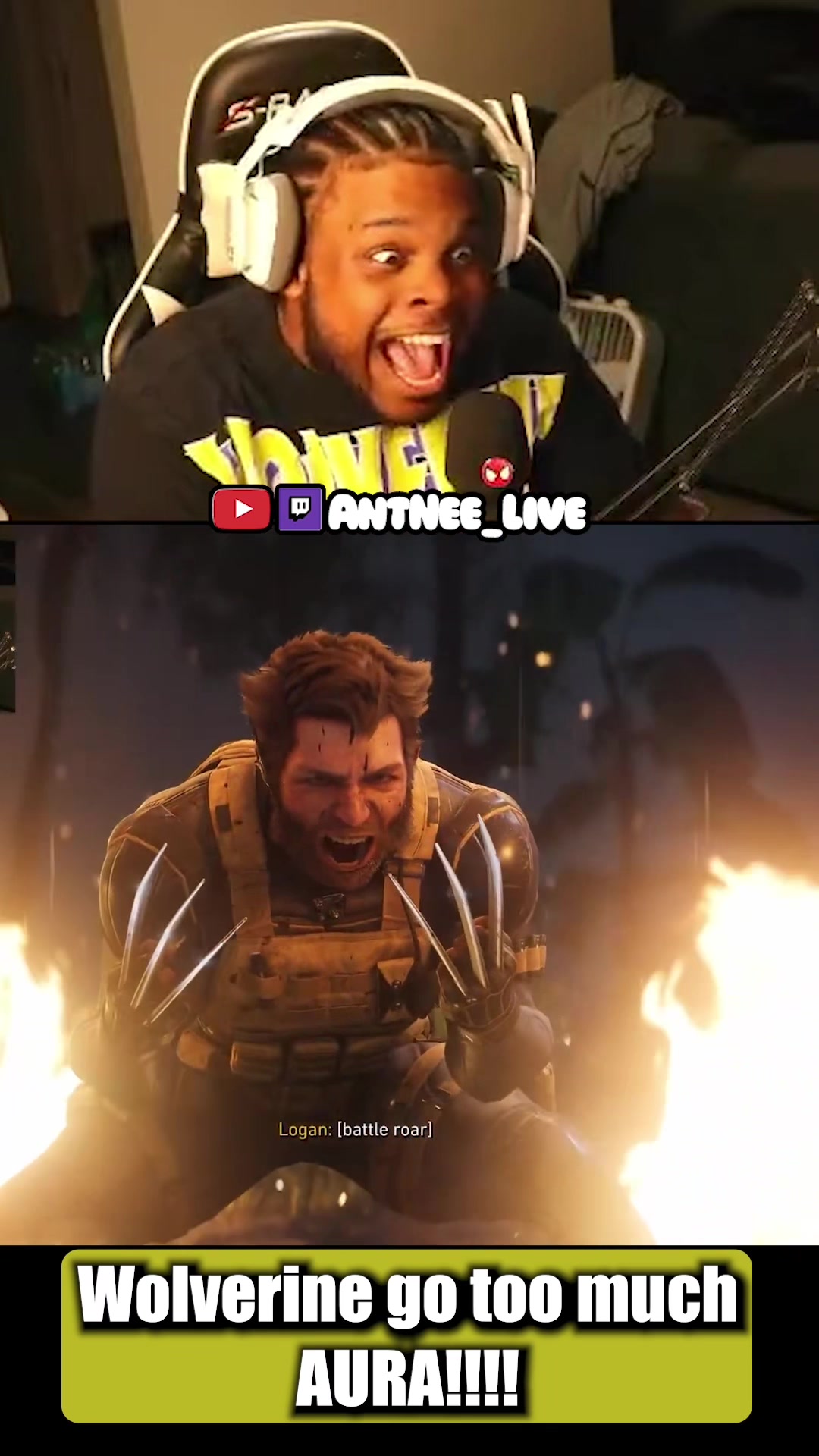 @AntNee Live