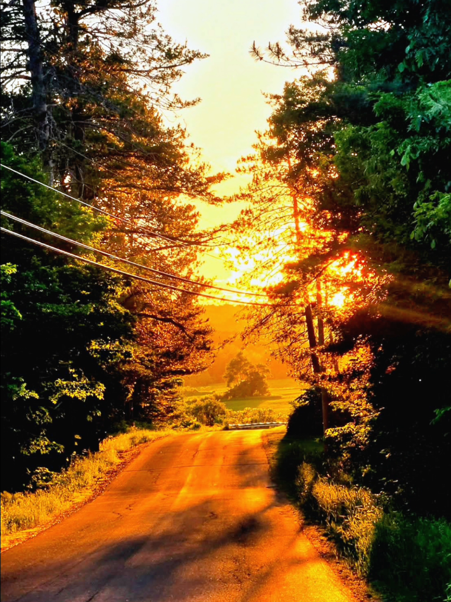 @ℂ𝕒𝕟𝕕𝕚🌻