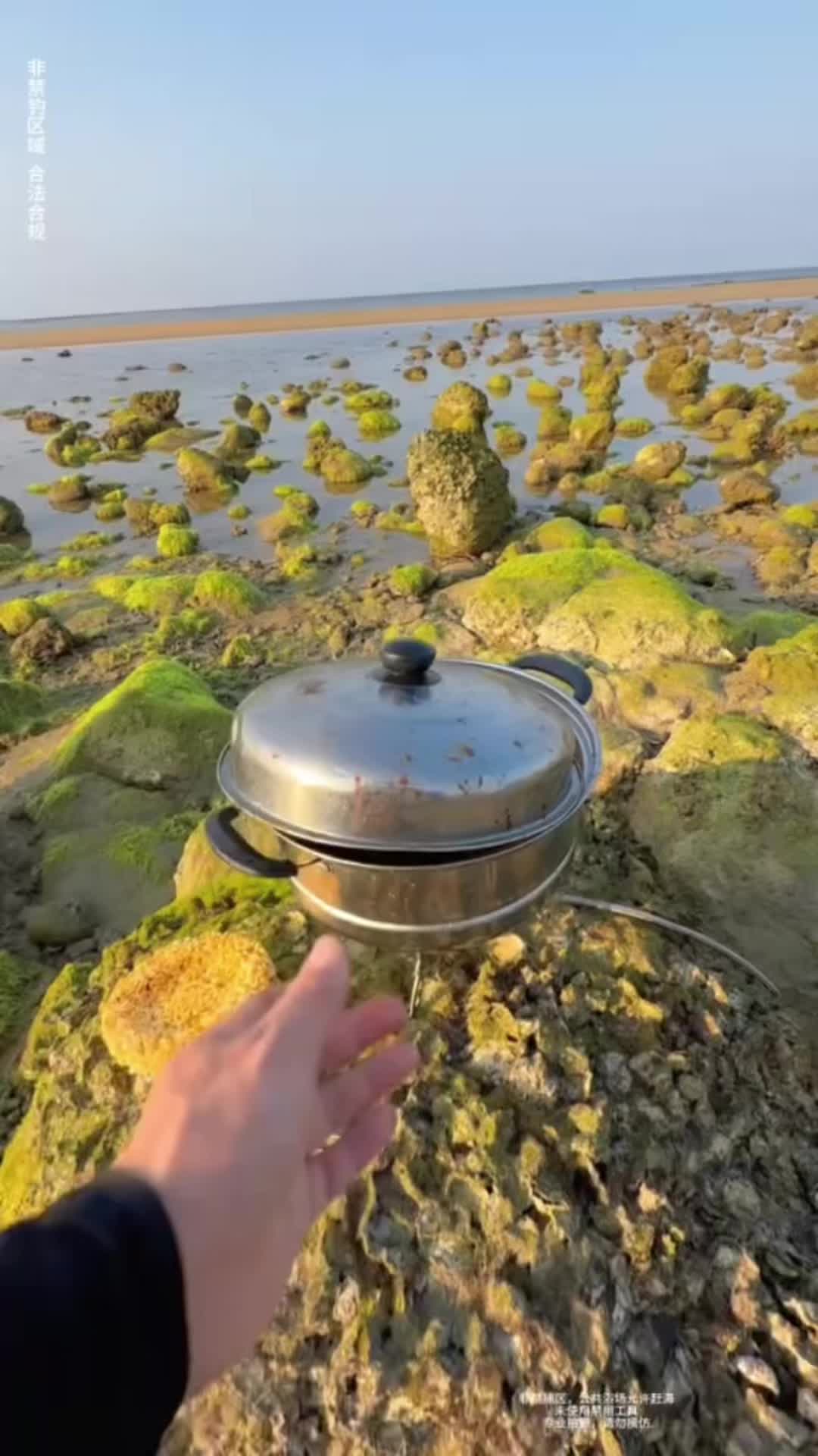 @Catch fish by hand