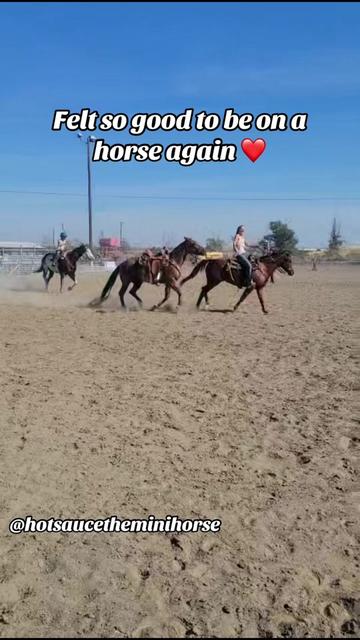 @Hot Sauce the Mini horse 🐎