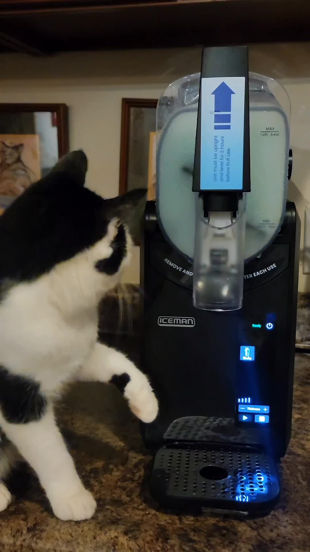 @No More Sad Kitties