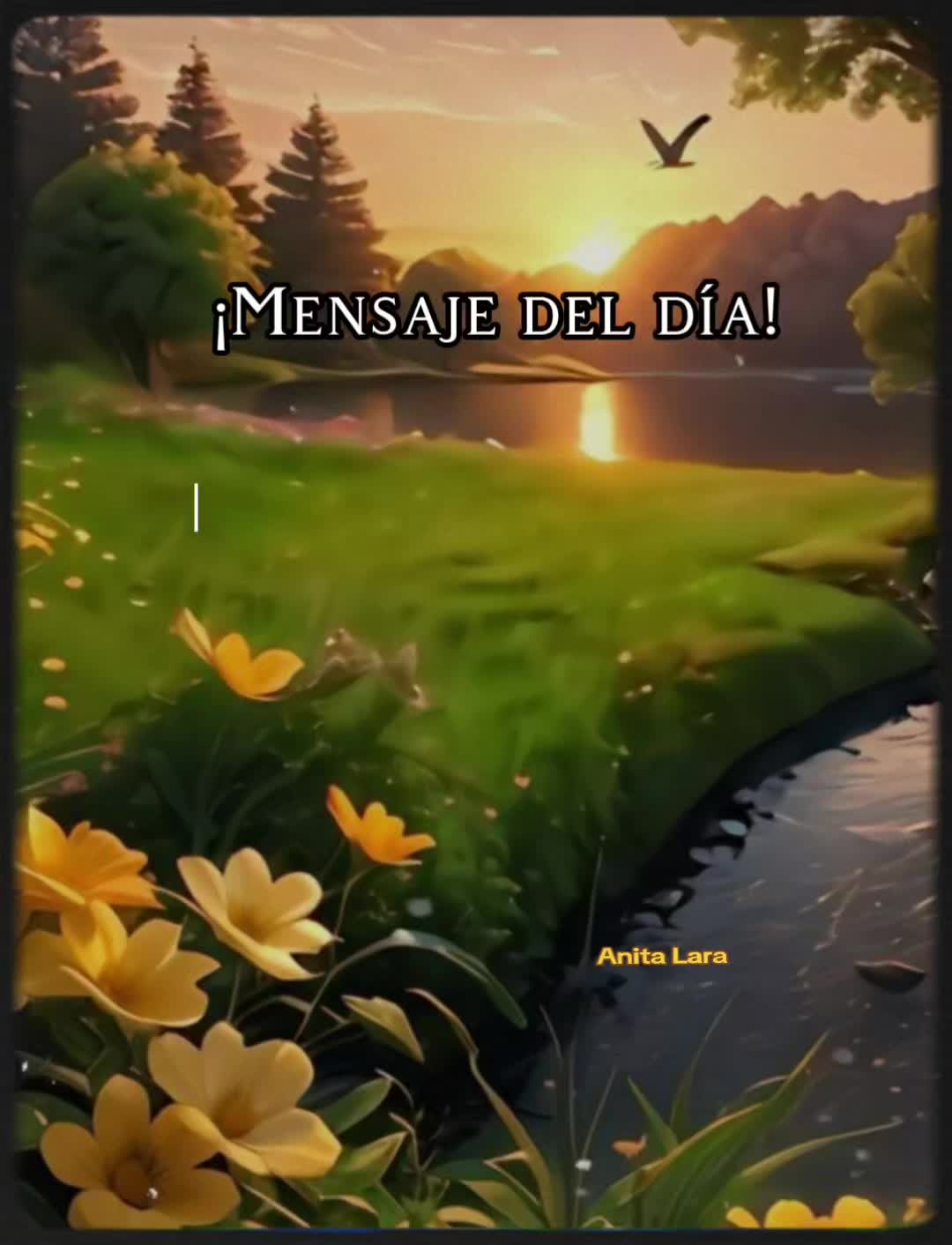@Anita Lara