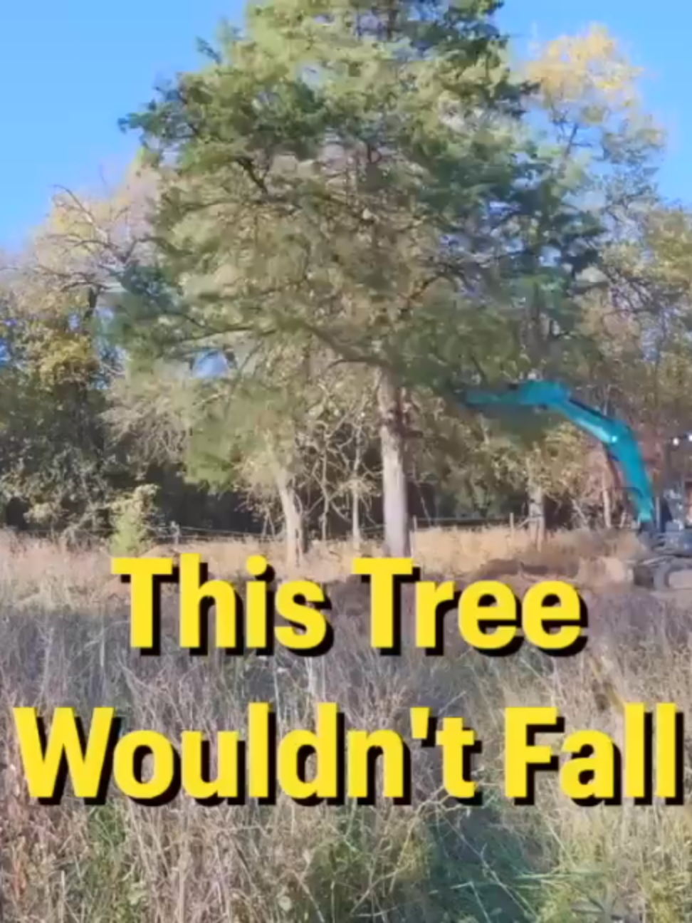 @Rockhill Farm YouTube