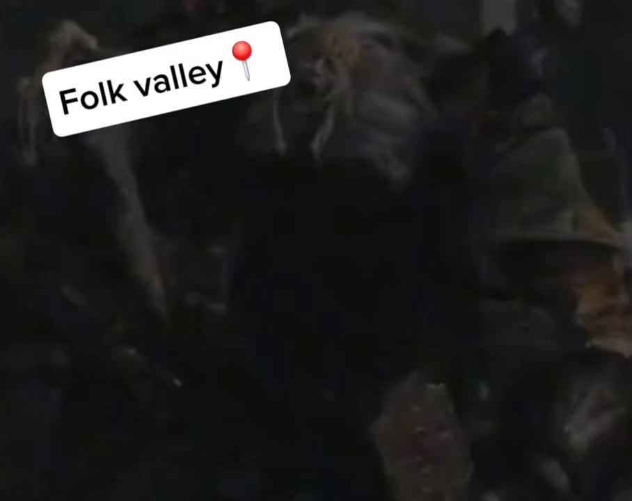 @phonk