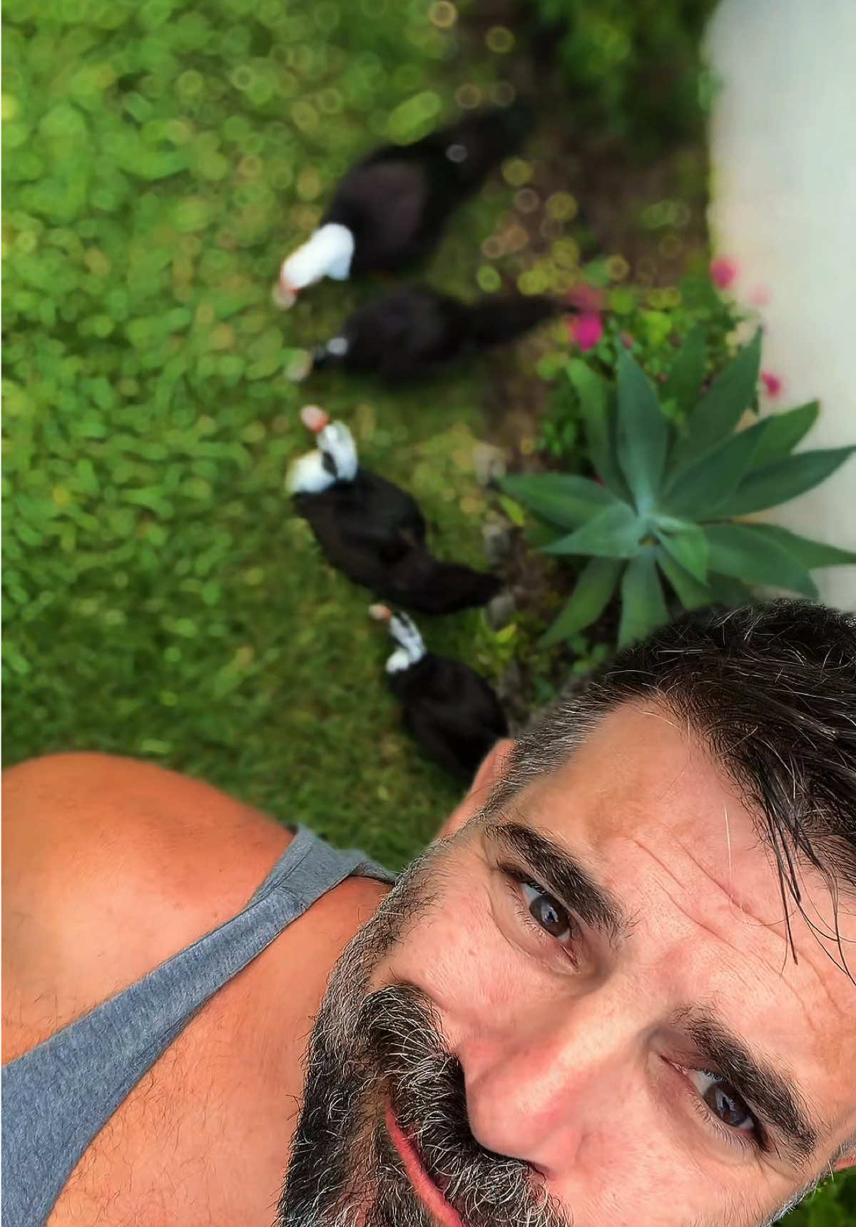 @bearfluence