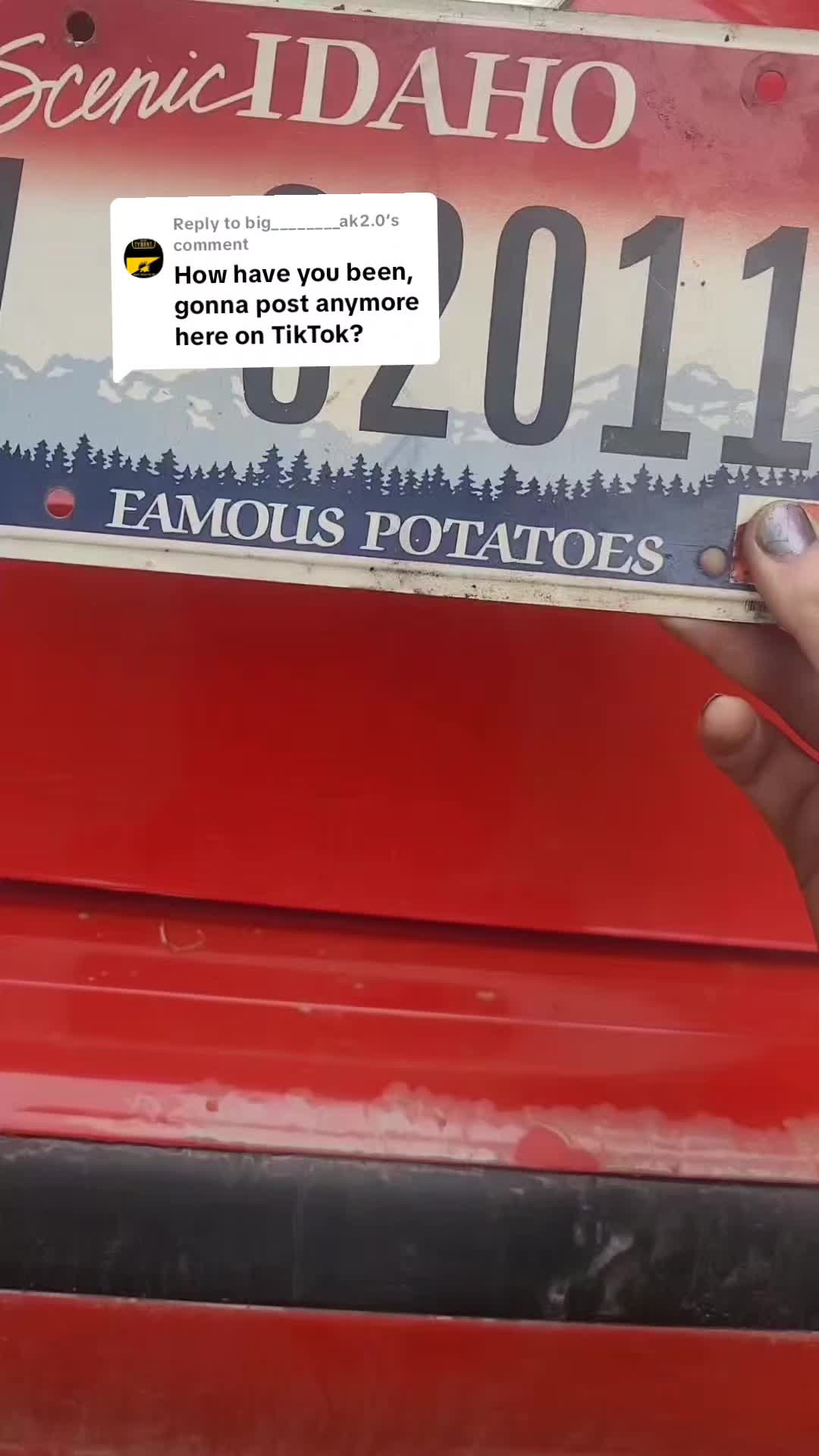 @definitelyadisneyprincess