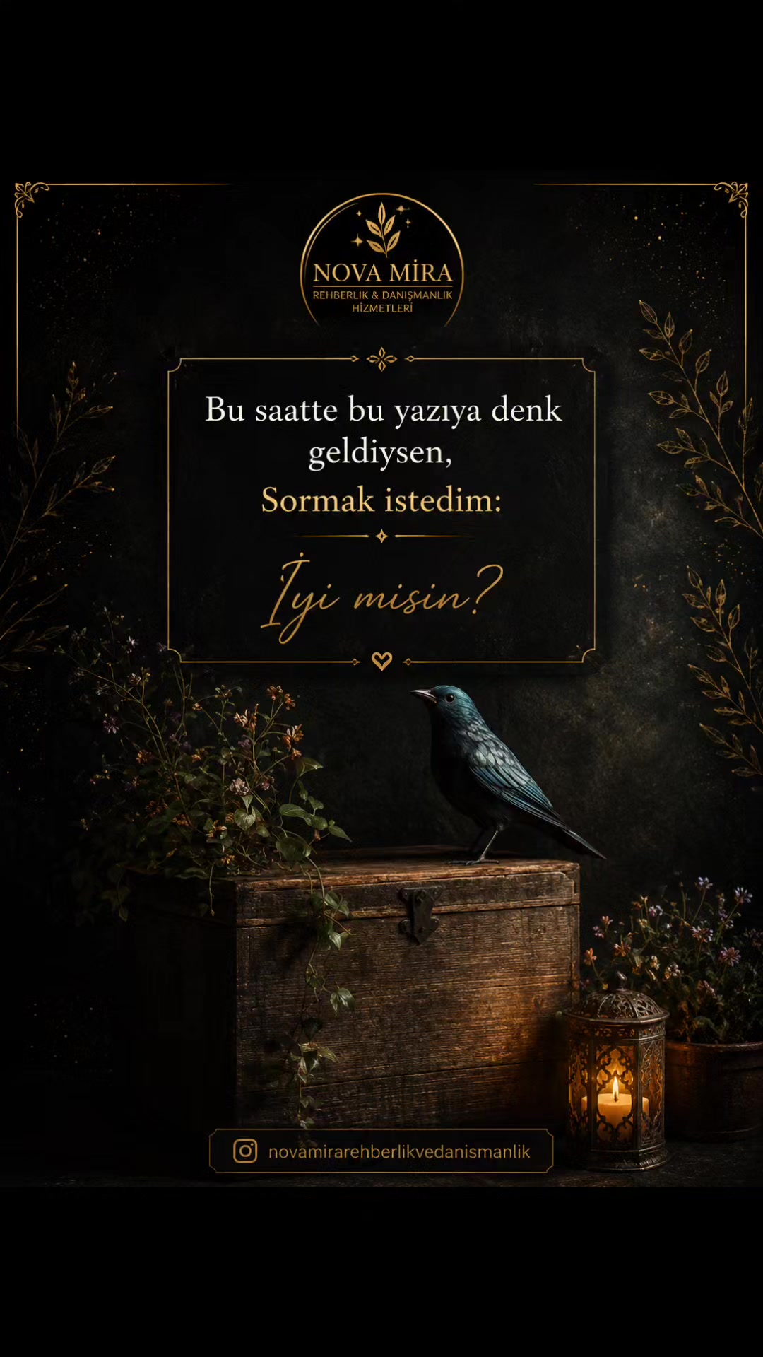 @Novamirarehberlikvedanismanlik