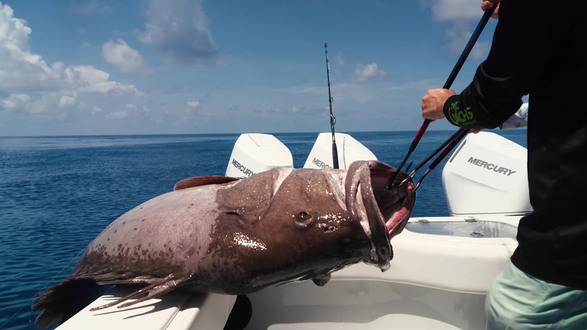 @TwoConchs