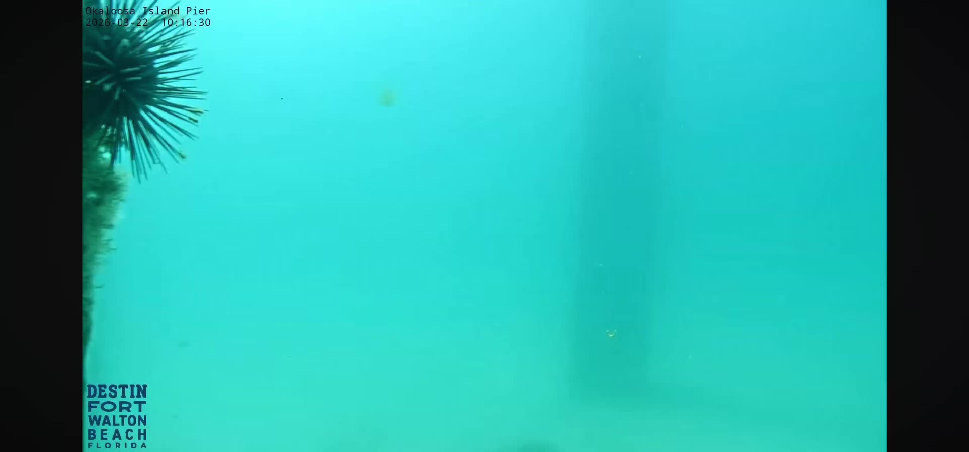 @OkaloosaIslandPier