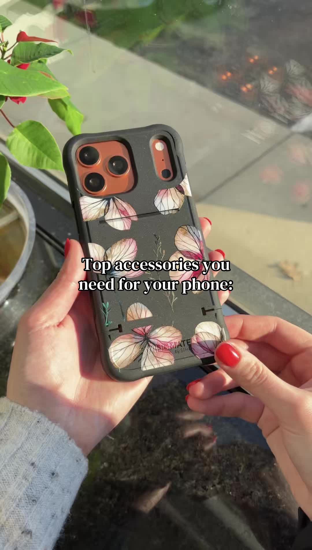 @Scooch