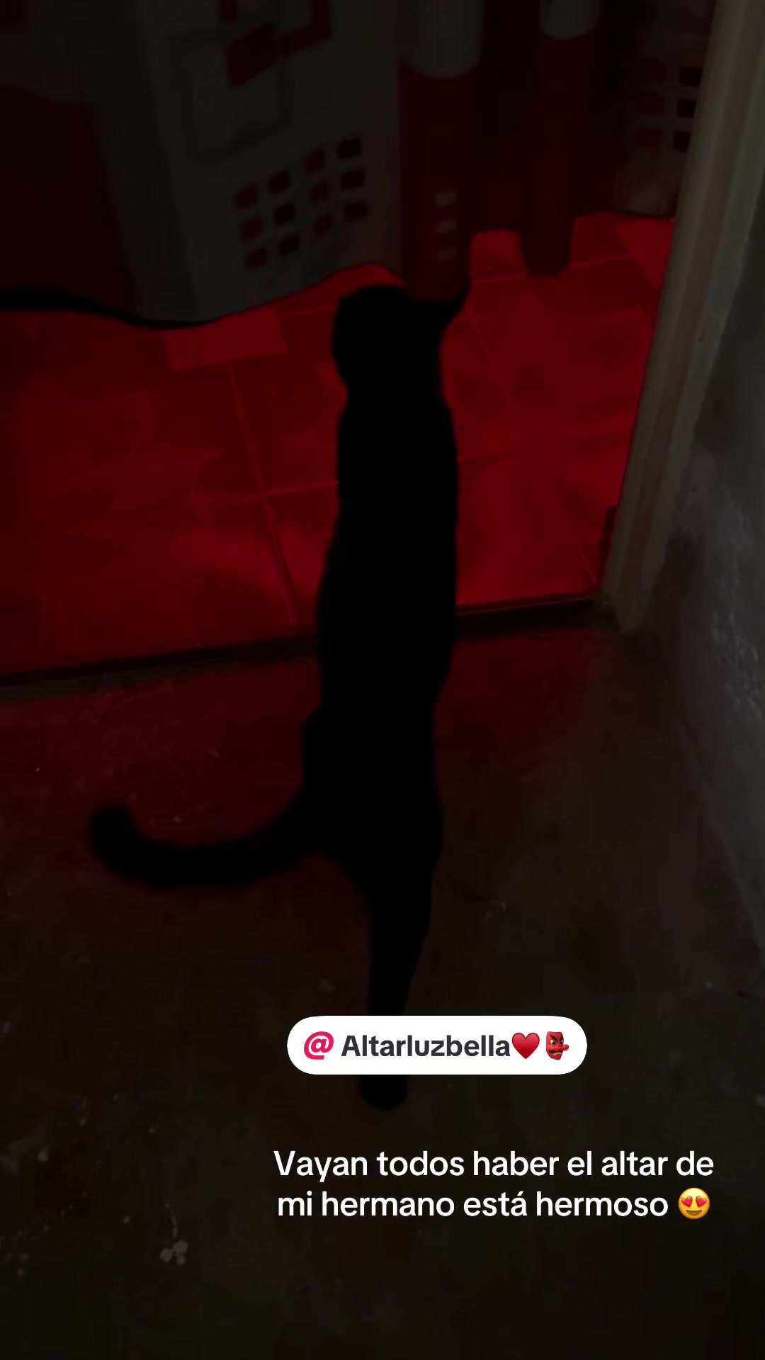 @Mara&ntilde;a