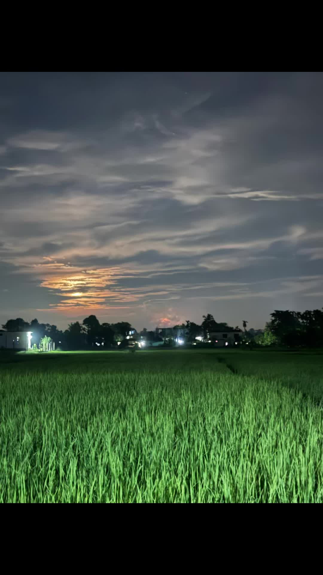 @punamsharma050