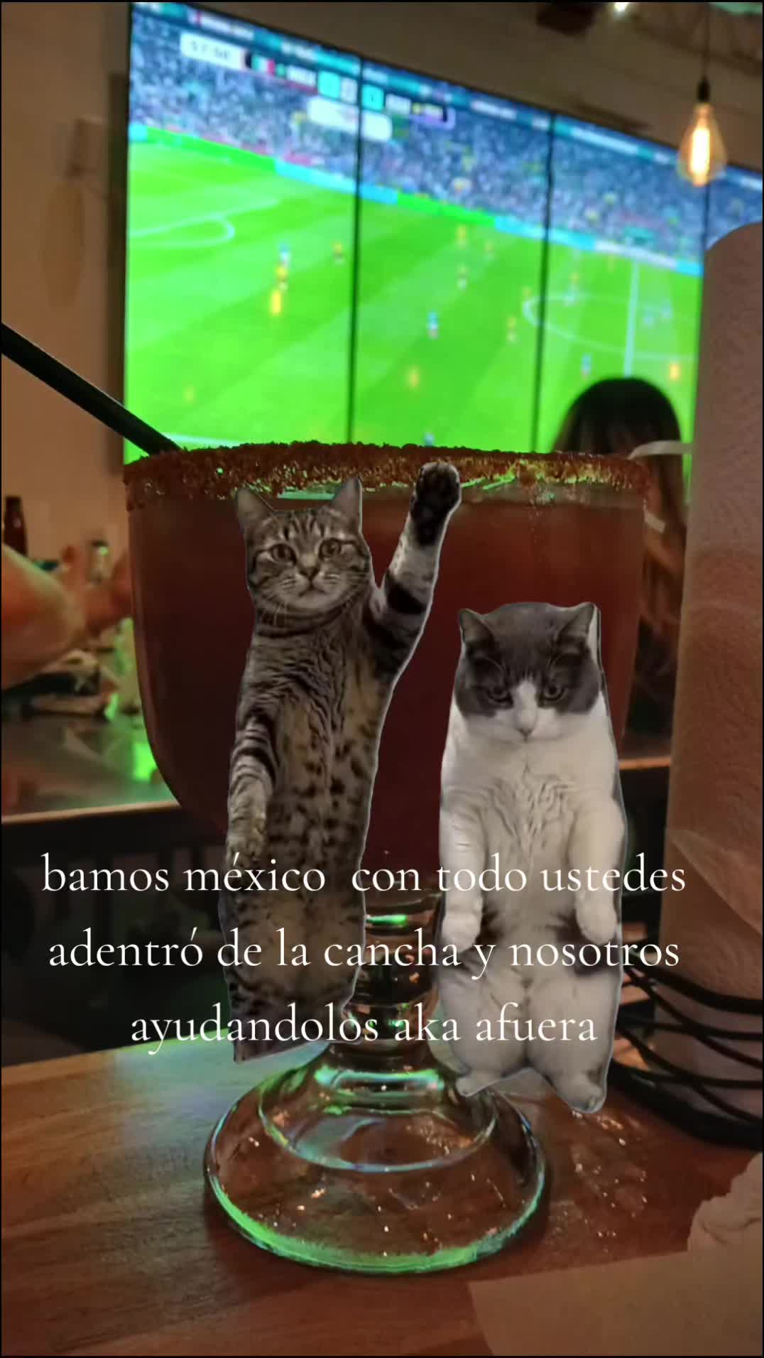 @marydiaz2817