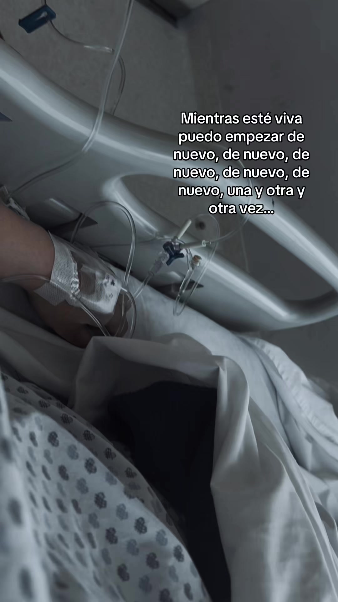 @Joselin Hernandez 🩵