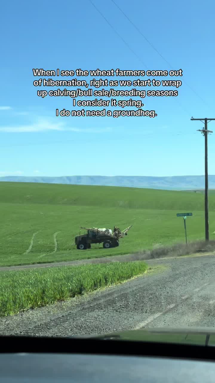 @Tierra