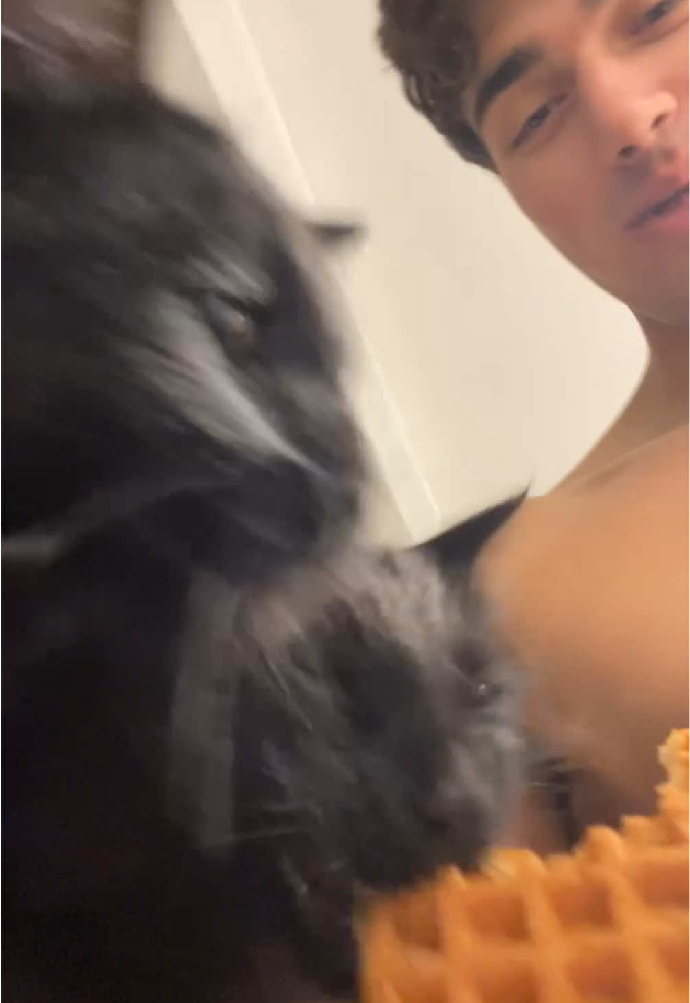 @maxcohensen