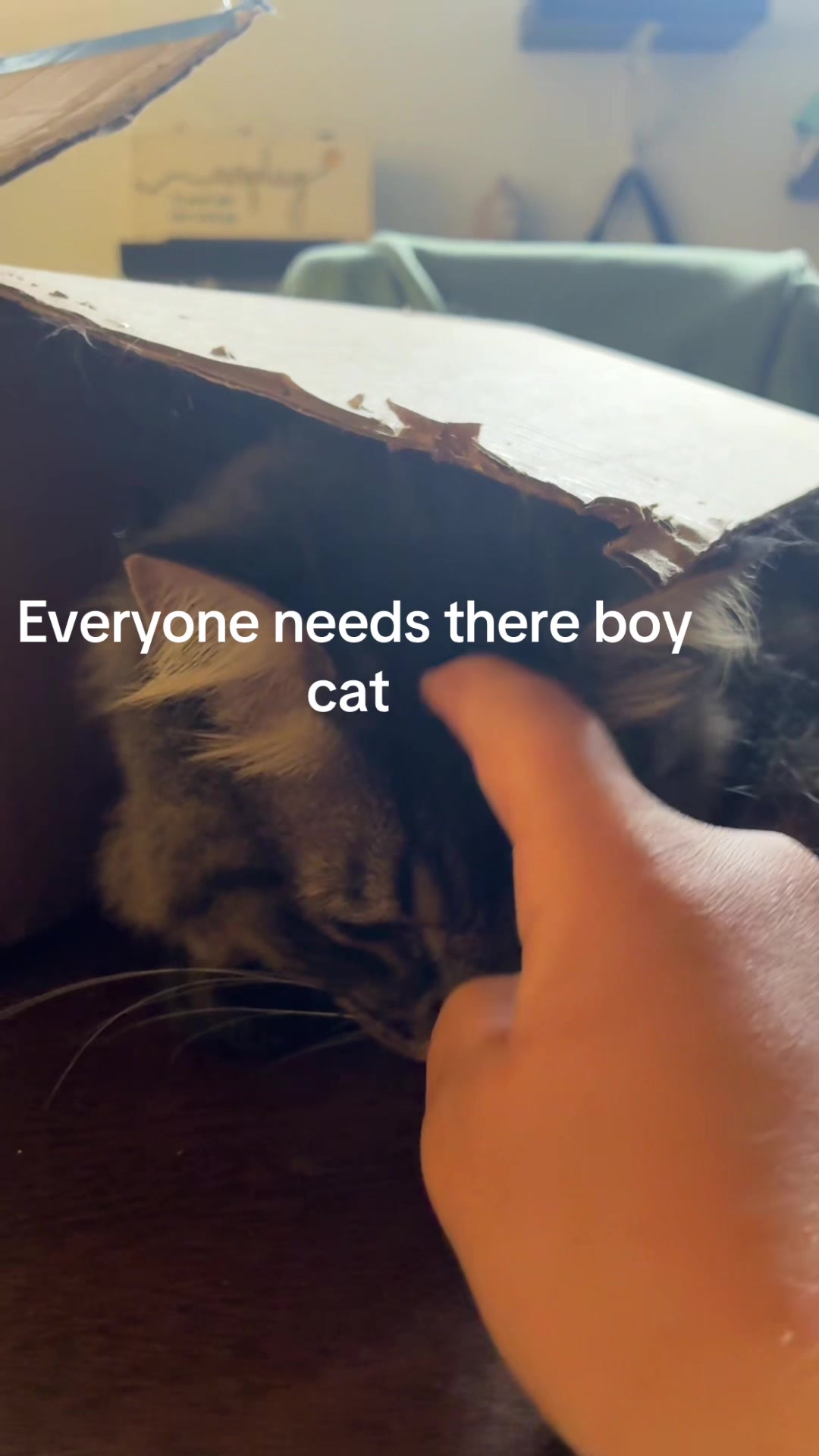 @Beanie🤪zini