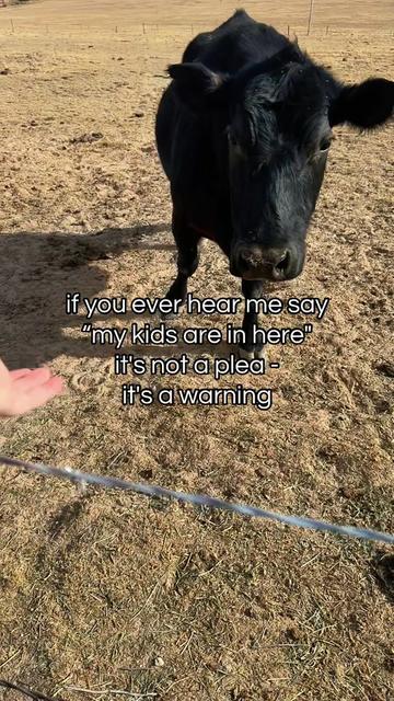 @Stryker🐴