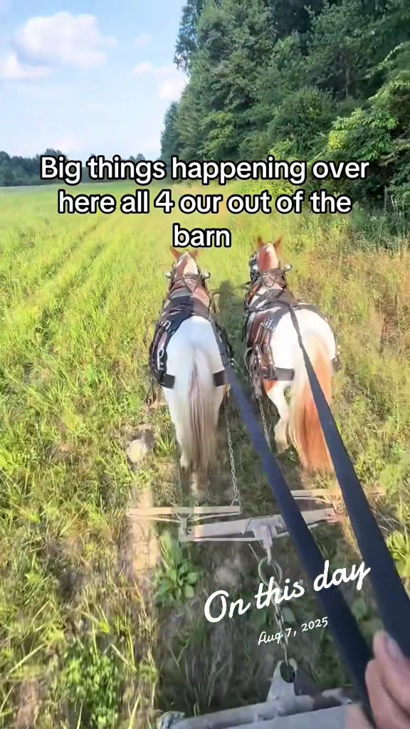@cj