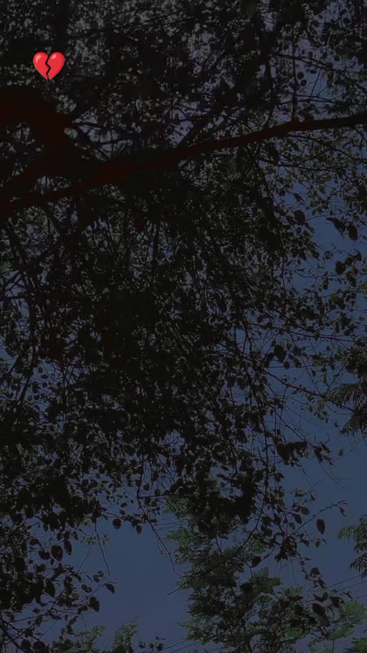@💪charsadwall💪🦅👊