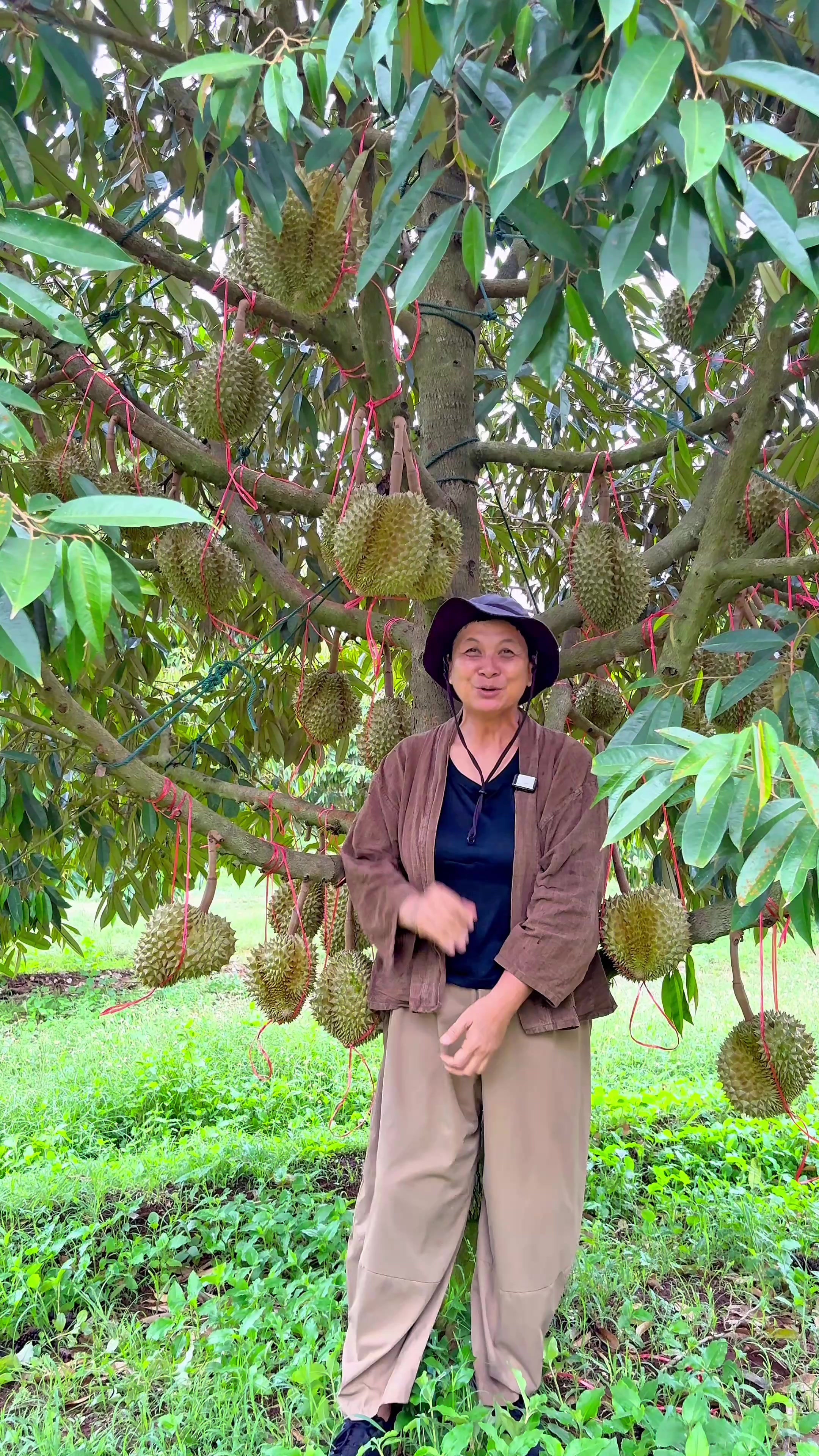 @ไร่วันยังขำ Oneyoungkham farm