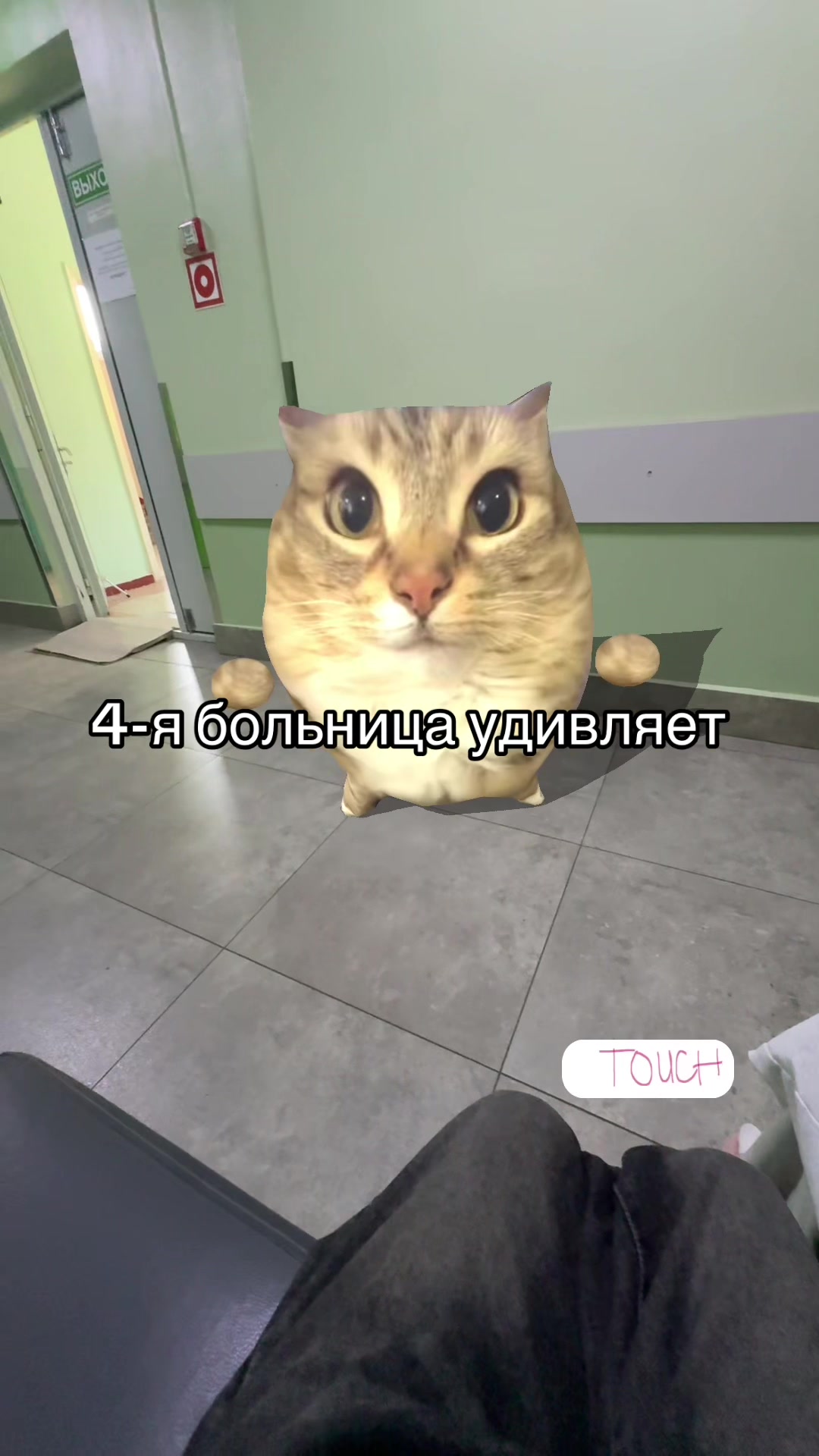 @ρ϶ύ