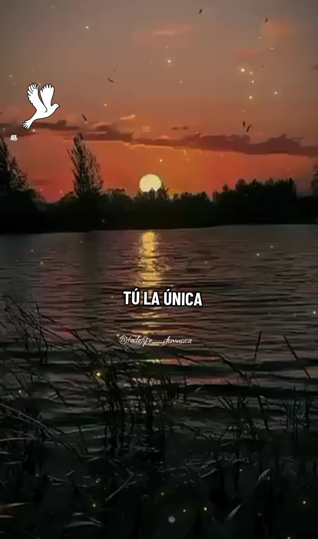 @Todo tipo de musica