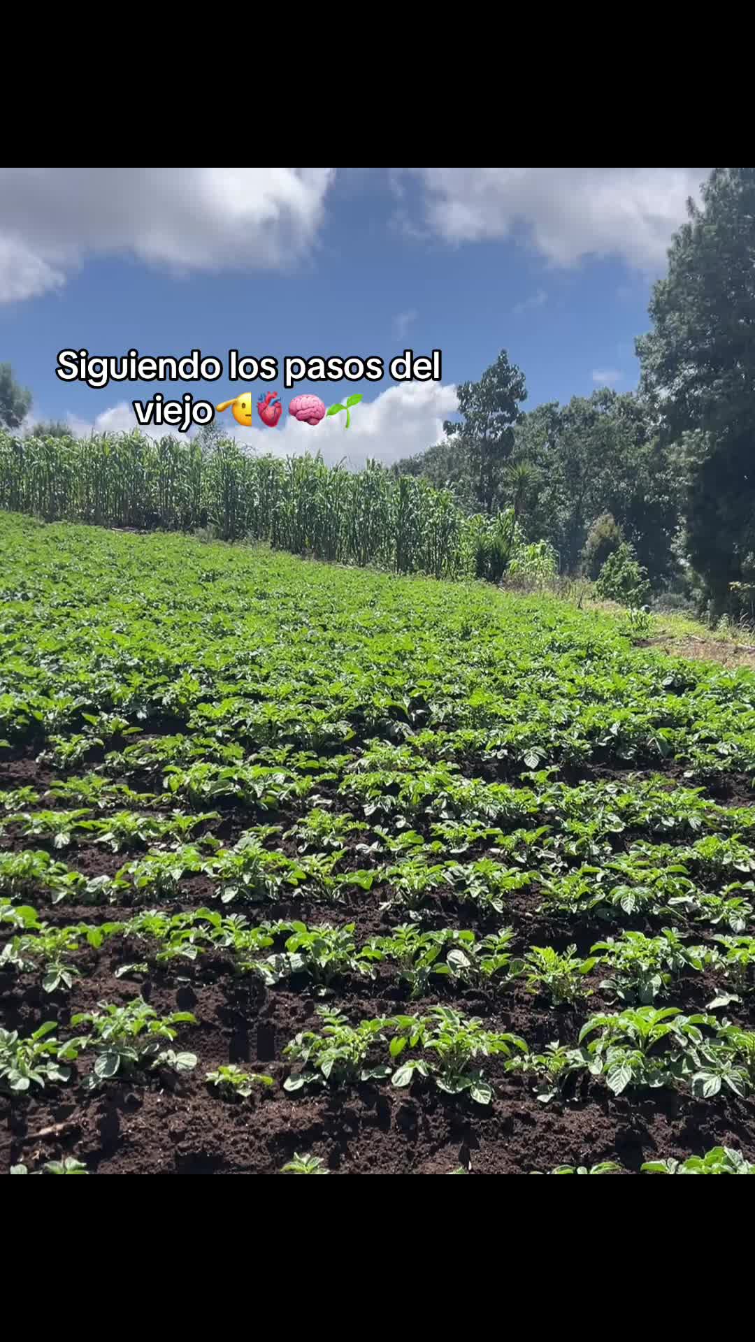 @Victor🌱🚜