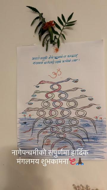 @userbaralpaudel
