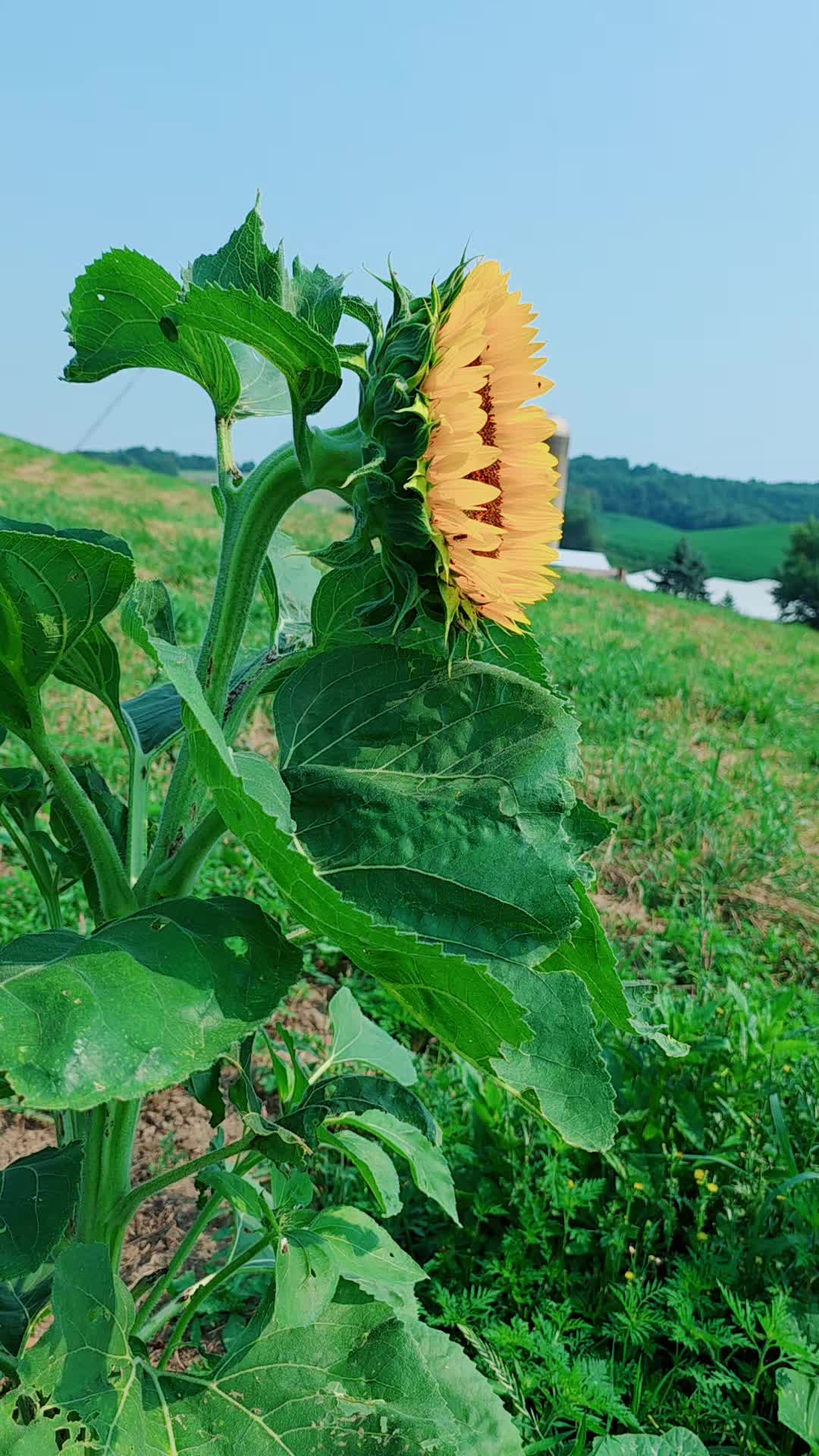 @𝙇𝙪𝙞𝙞502👨🌾