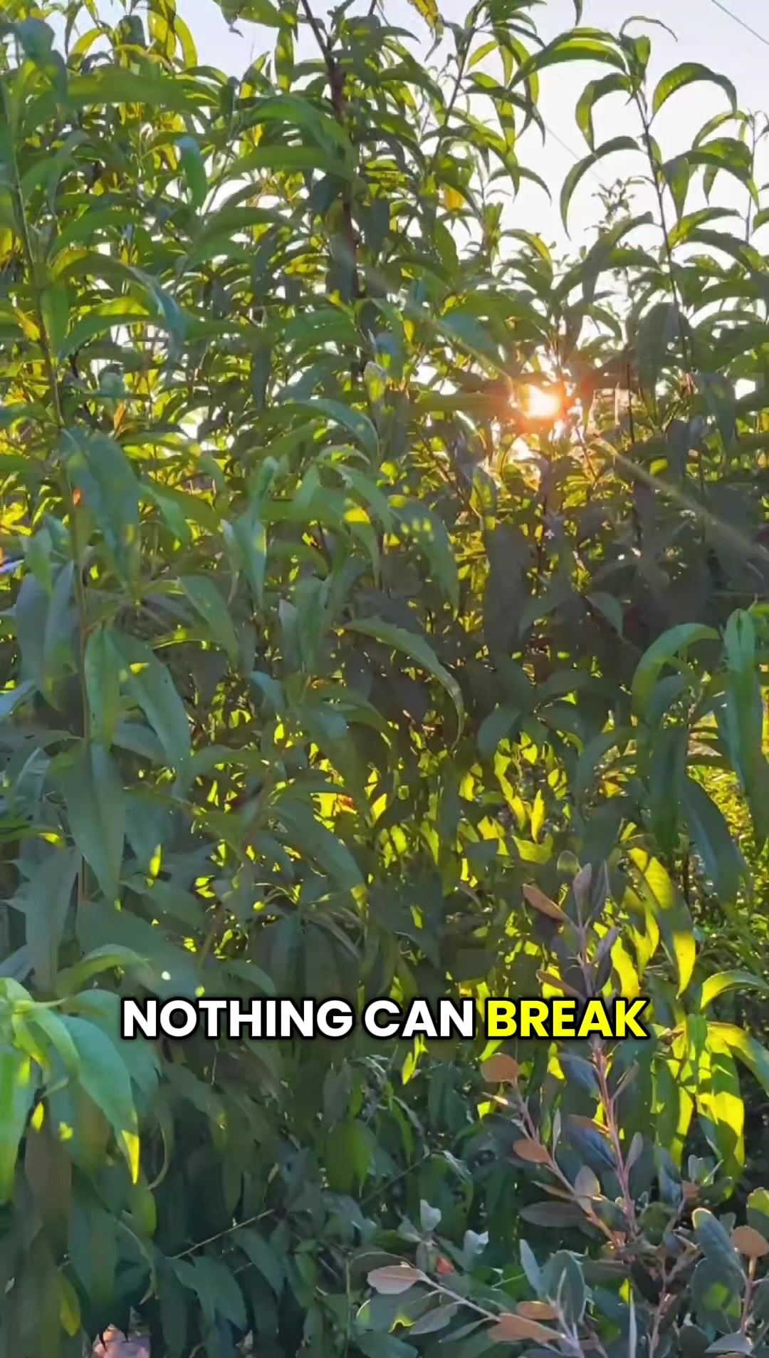 @SimpleHappiness🌞
