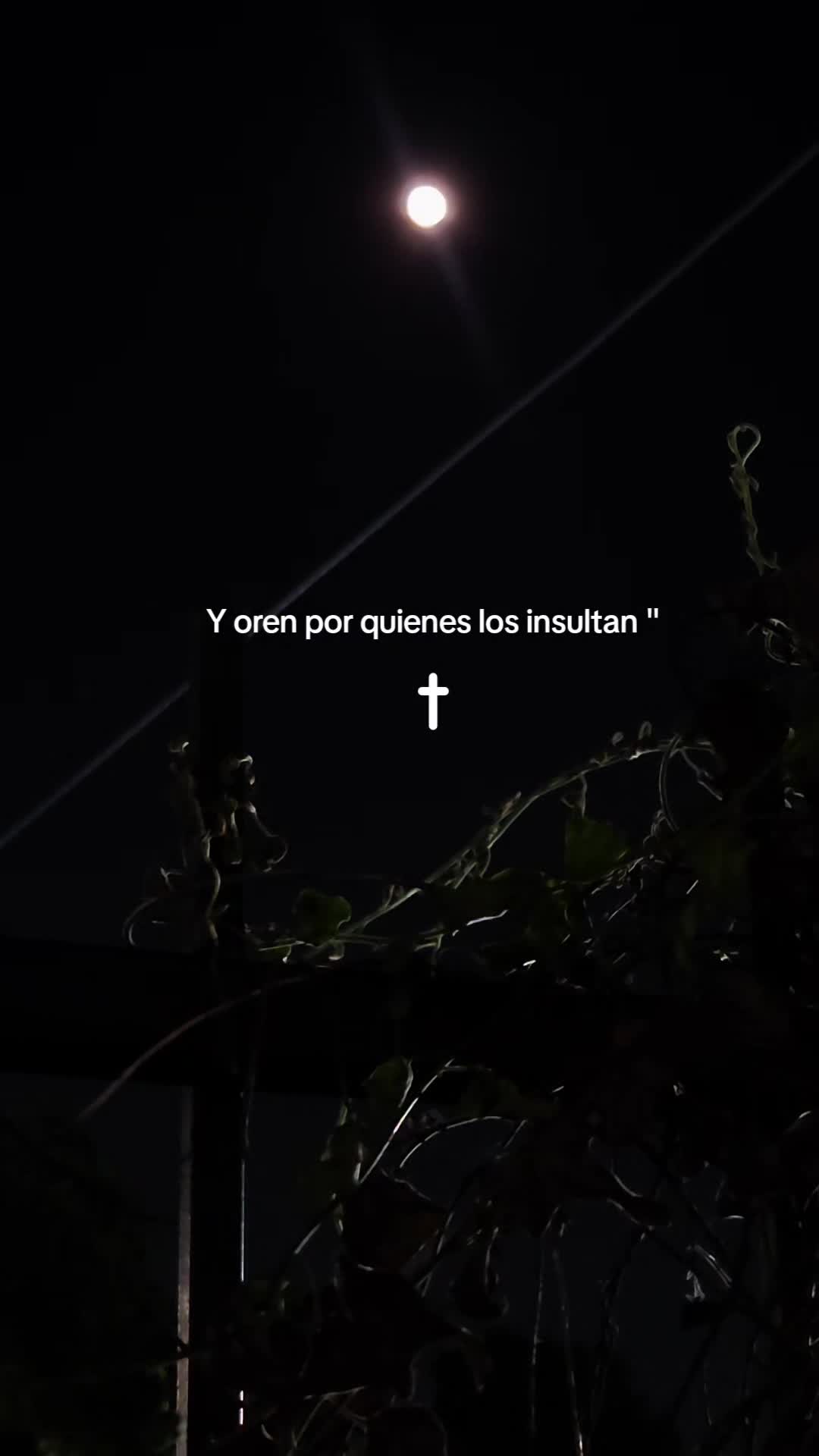 @Armando.