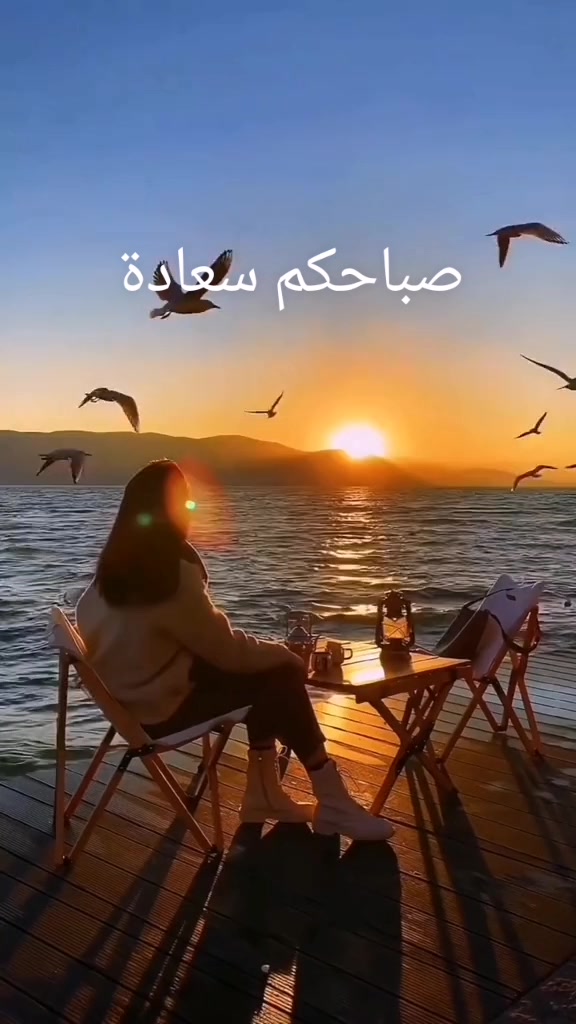 @Hoda Hany