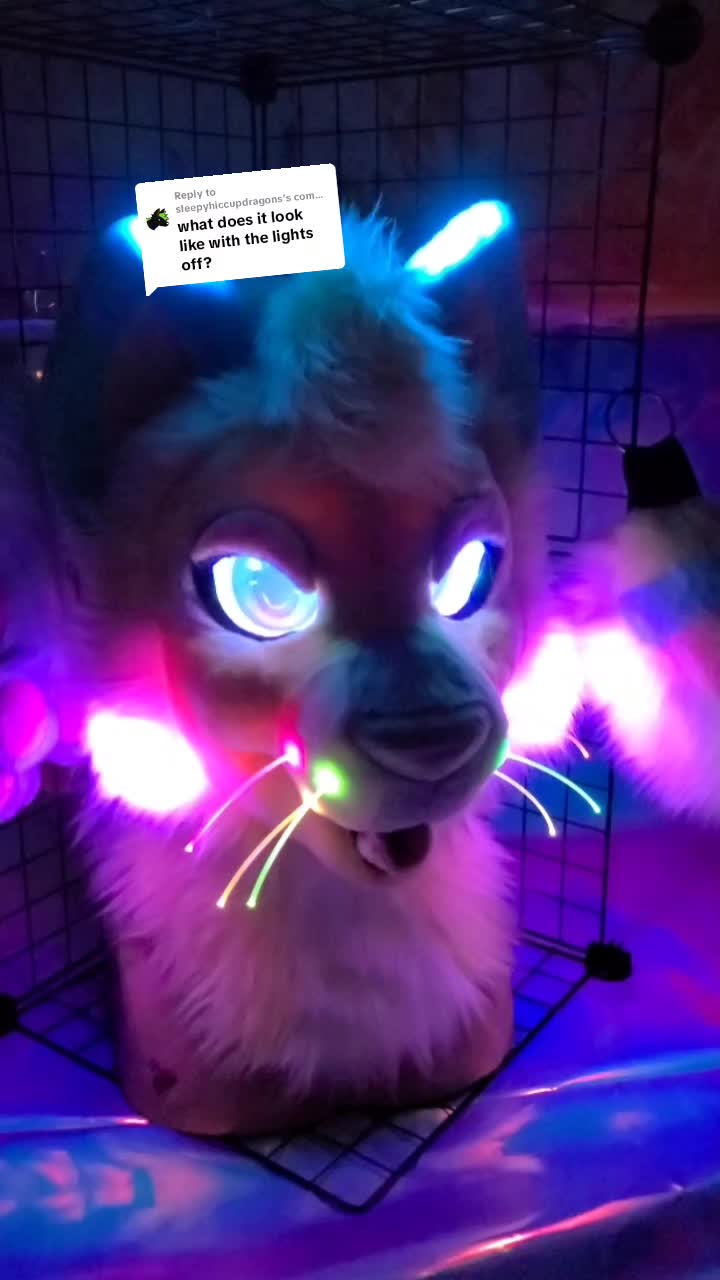 @Fursuit Parade