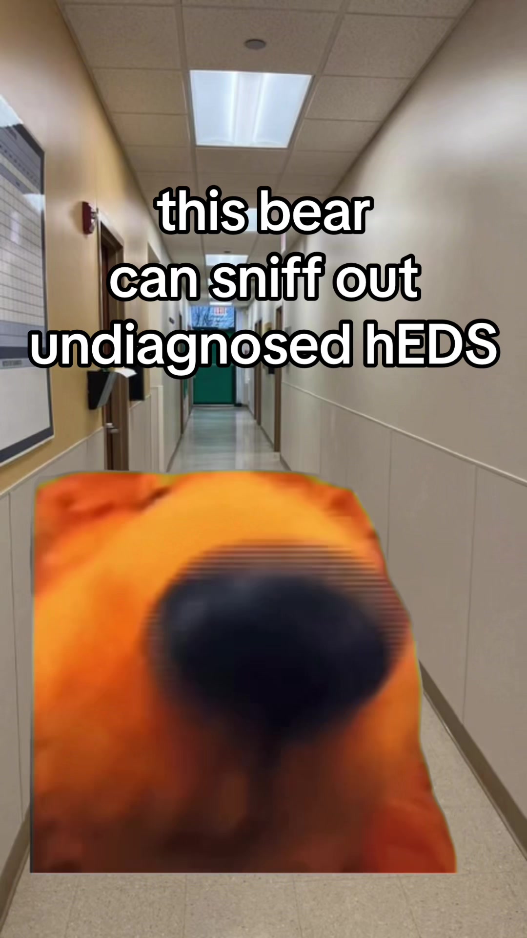 @JD
