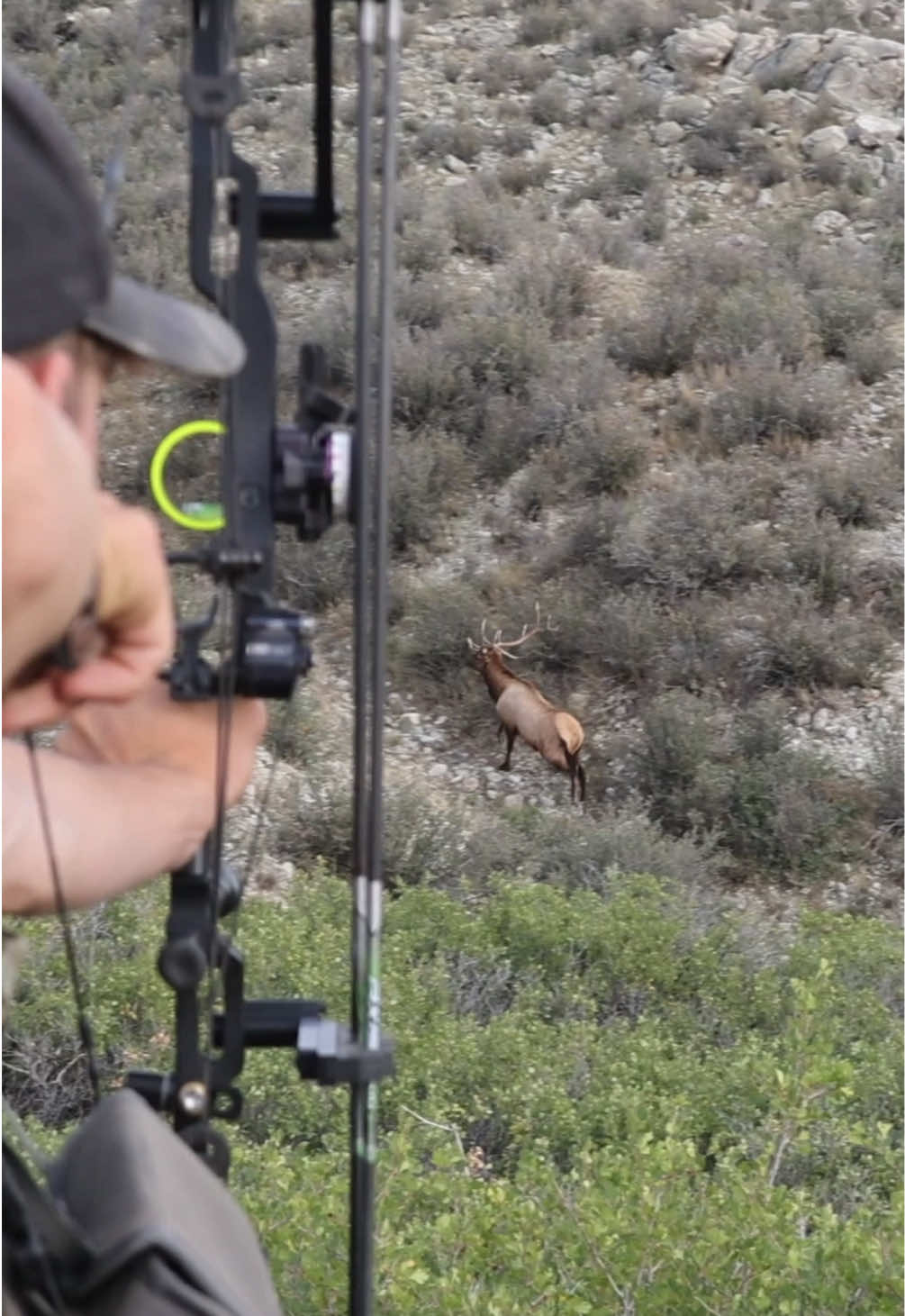 @Wild Born Outdoors - Saxton